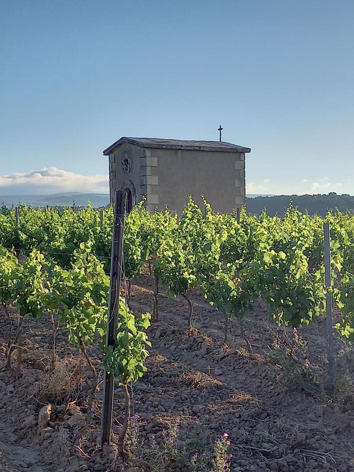 Villa Domaine Saint Augustin à Rieux-Minervois Extérieur photo