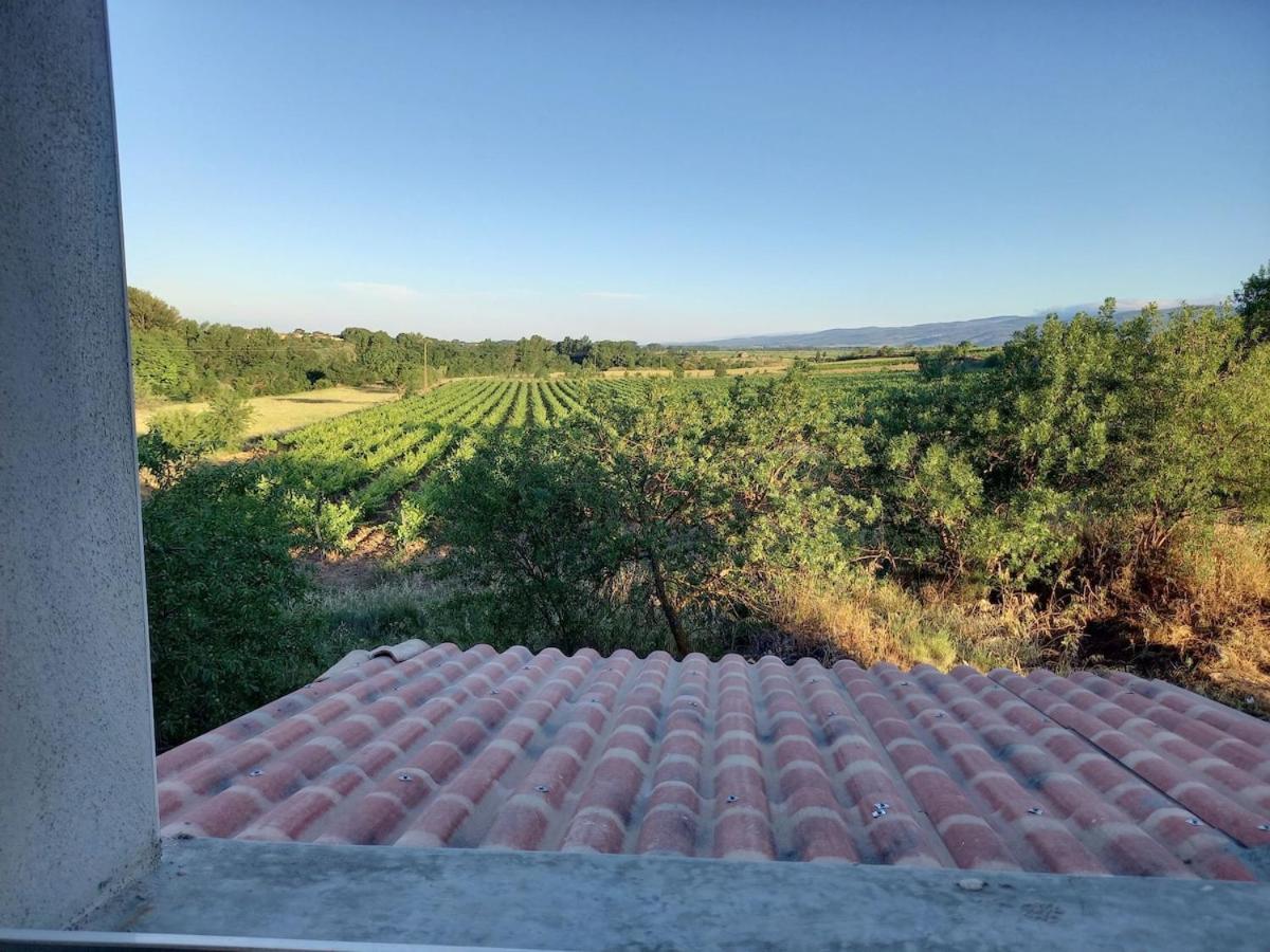 Villa Domaine Saint Augustin à Rieux-Minervois Extérieur photo