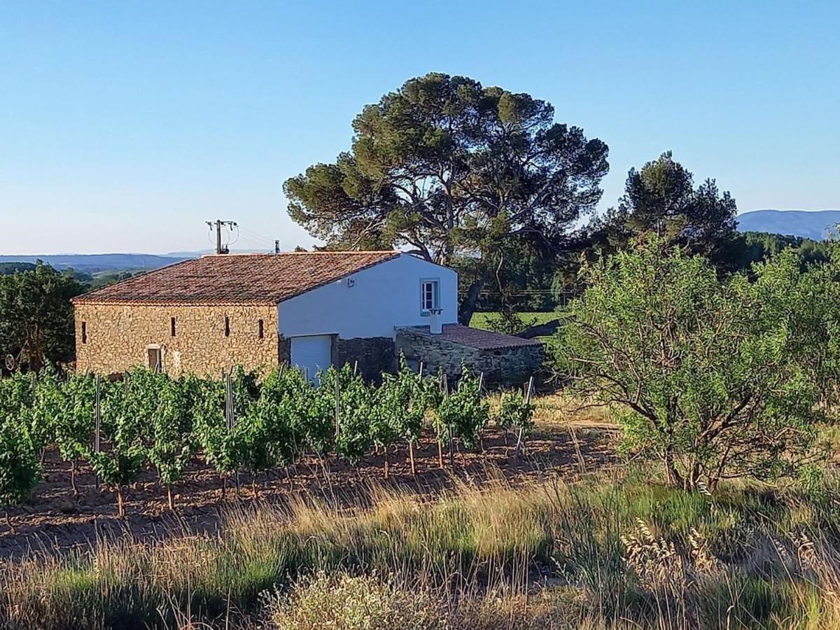 Villa Domaine Saint Augustin à Rieux-Minervois Extérieur photo